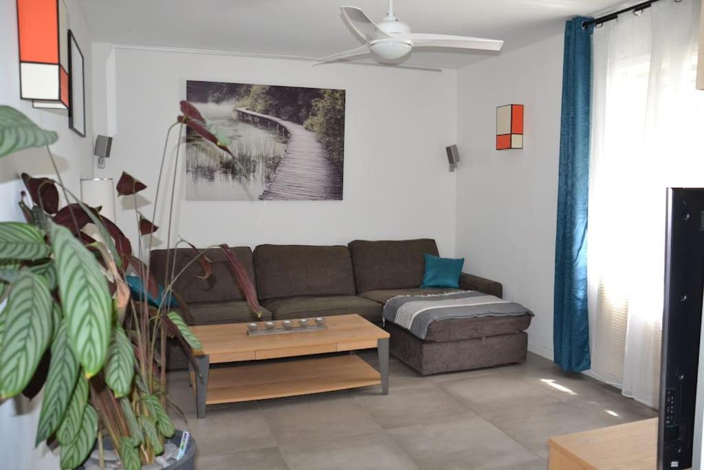 Jolie Villa, Piscine, 10Min Centre Ville, Wifi Montpellier Eksteriør bilde
